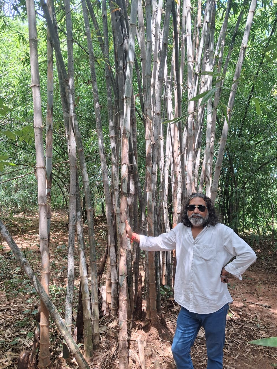 Sustainable Projects